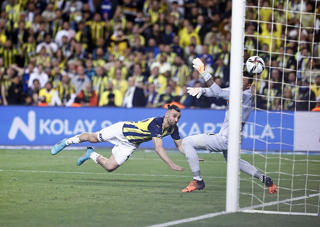 的指挥者还 的指挥者还